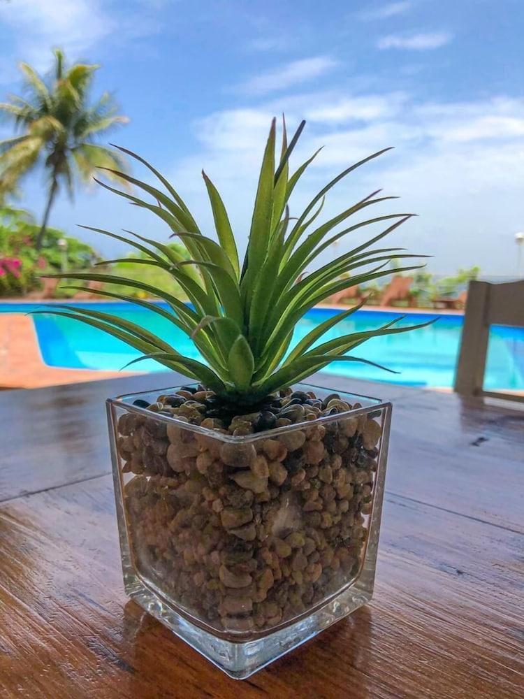 Hotel Mont Joli Cap-Haïtien Buitenkant foto