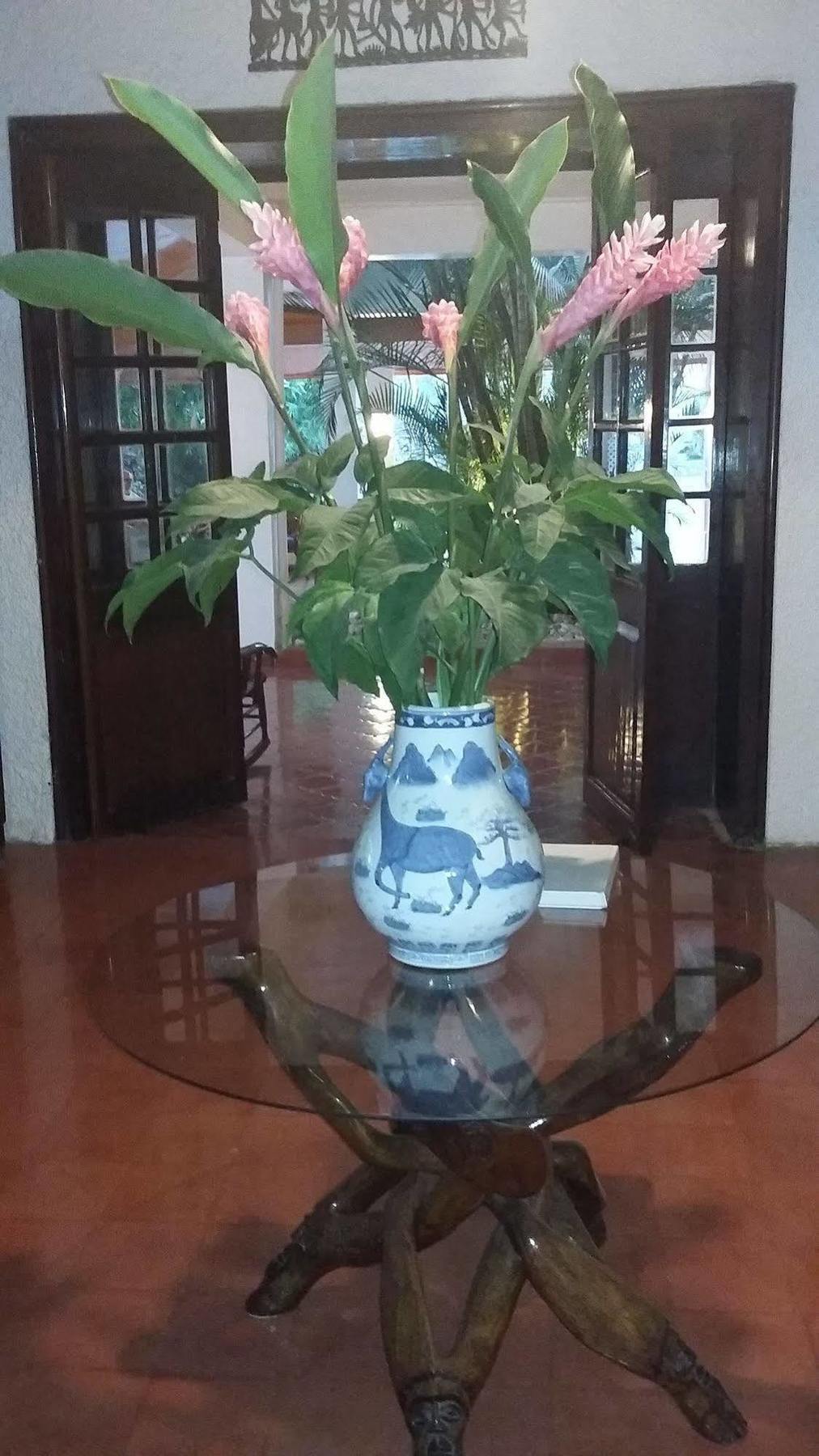 Hotel Mont Joli Cap-Haïtien Buitenkant foto